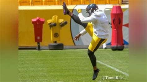 Pressley Harvin III Makes Strong Opening Statement In Bid To Be Steelers' Punter - Steelers Depot