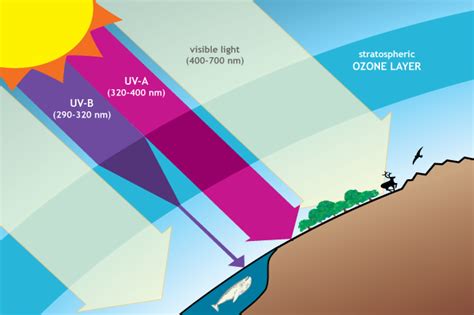 4 ways the ozone hole is linked to climate, and 1 way it isn’t | NOAA Climate.gov