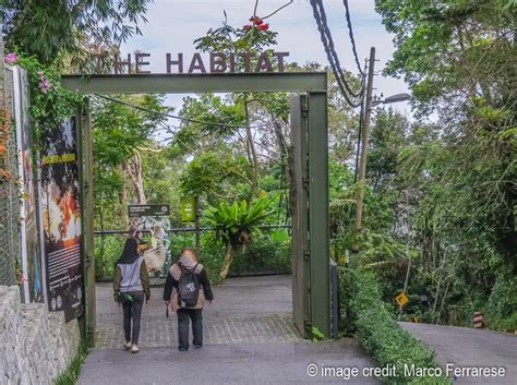 7 Reasons why you should visit The Habitat Penang Hill - Penang Insider