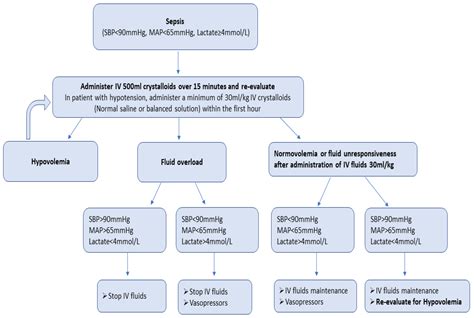 Fluid Resuscitation in Sepsis | Encyclopedia MDPI