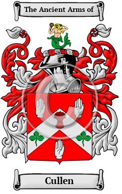 Cullen Name Meaning, Family History, Family Crest & Coats of Arms