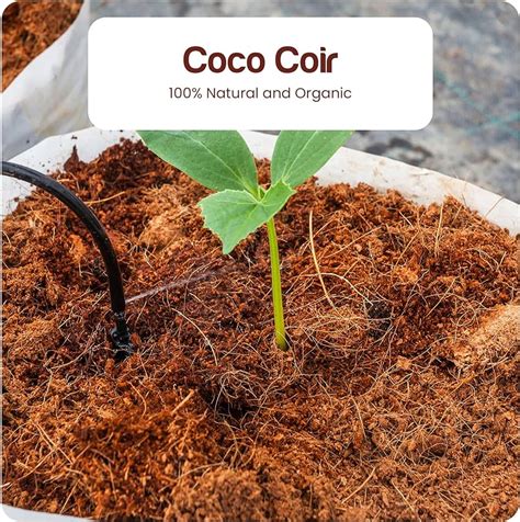 How To Grow Hydroponic Plants With Coco Coir Which Is Best, 44% OFF