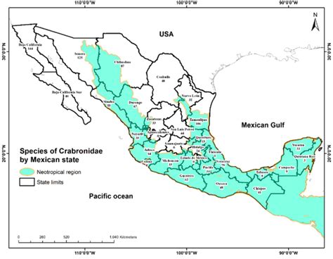 Numbers of Crabronidae species by state in Mexico. | Download ...