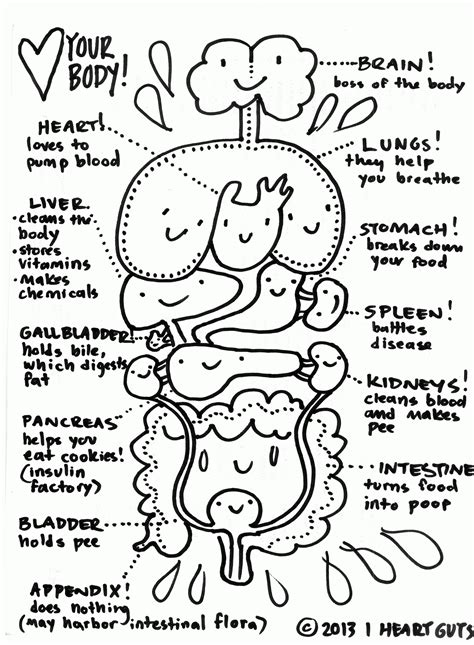 Human Body Systems Coloring Pages - Coloring Home