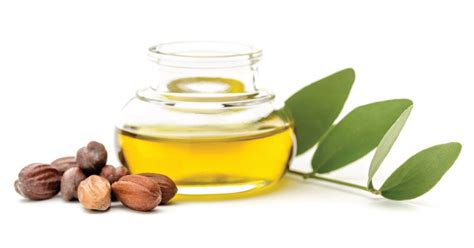 Can Jojoba Oil Treat My Acne?