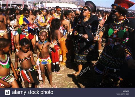 Download this stock image: zulu reed dance ceremonial participants ...