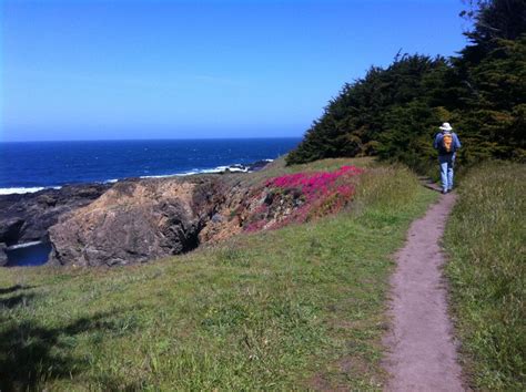 National Trails Day Hike- Mendocino County | Coastwalk California