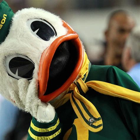 The Funniest Mascot Moments in Sports | Oregon ducks, Oregon ducks ...