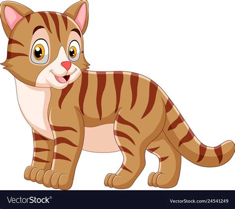 Cartoon Cat White Background