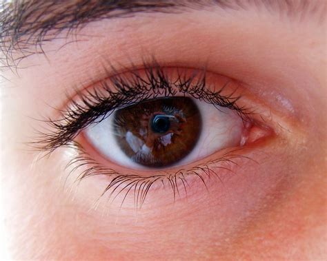 My eye | Flickr - Photo Sharing!
