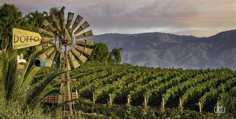 7 Temecula Wineries to Add to Your MUST Sip List | Carpe Travel