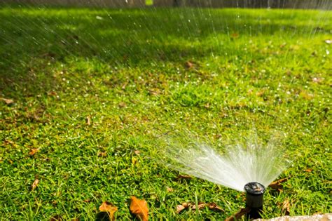 Sprinkler System Repair | House Renovation Contractor