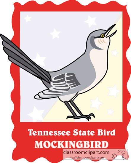 Tennessee : tennessee_state_bird_mockingbird : Classroom Clipart