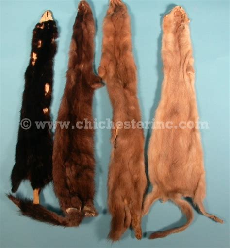 Mink Skins or Mink Hides or Mink Pelts or Mink Fur or Furs