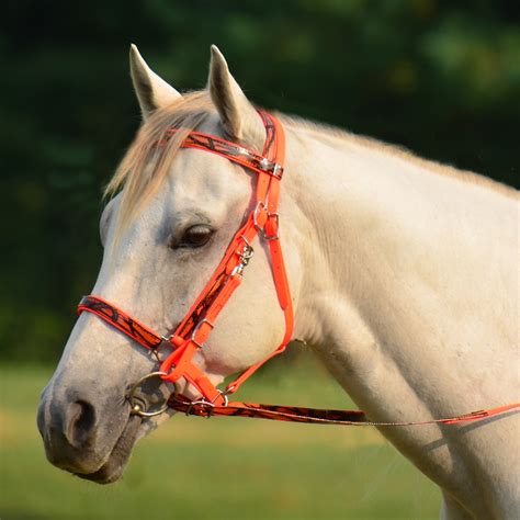 Buy Traditional Halter Bridle with Bit Hangers - Two Horse Tack