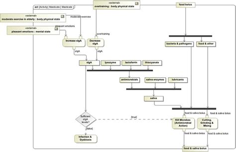 The primary activity diagram describes the function or action of ...