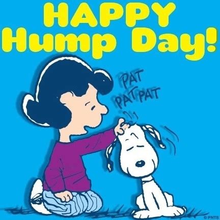 Happy Hump Day Pictures, Photos, and Images for Facebook, Tumblr ...