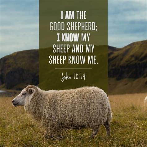 Jesus said, “I AM the Good Shepherd”