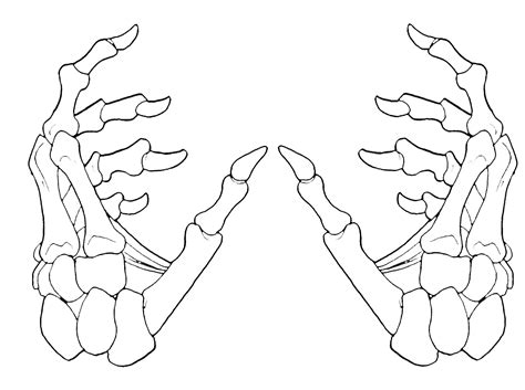 Tattoo design 1 | Skeleton hand tattoo, How to draw hands, Skeleton ...