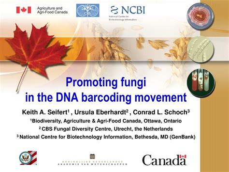 PPT - Promoting fungi in the DNA barcoding movement PowerPoint Presentation - ID:5198444