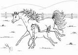 Mother And Baby Horse Coloring Pages sketch template