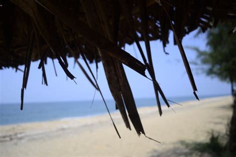 Kuzhupilly Beach (Kochi (Cochin)) - 2020 All You Need to Know BEFORE You Go (with Photos ...