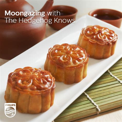 Traditional Cantonese Mooncakes Using Airfryer - The Hedgehog Knows