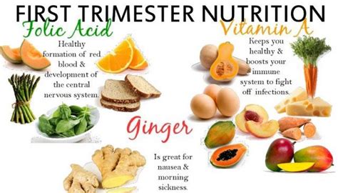 First Month Of Pregnancy Diet Chart | Labb by AG