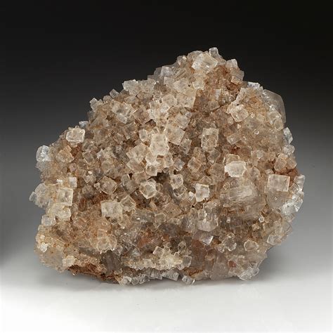 Sylvite - Minerals For Sale - #4171136