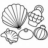 Seashell items Outline coloring Book Page Line Art Drawing  Premium AI sketch template