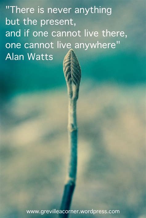 Alan Watts Quotes - ShortQuotes.cc