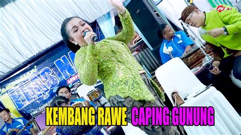 SRAGENAN KEMBANG RAWE || CAPING GUNUNG JENGGLENG CAMPURSARI JELAS NADA - YouTube