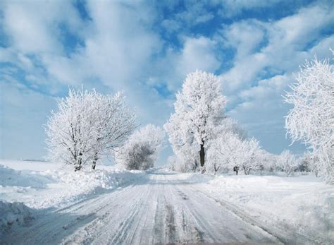 Winter In Poland - http://all-that-is-interesting.com/tag/beautiful ...