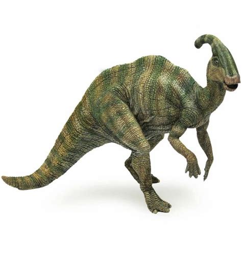 Parasaurolophus | Dinosaur images, Dinosaur pictures, Dinosaur illustration