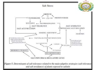 Abiotic stress | PPT