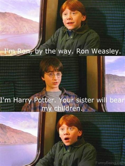 52 Top Harry Potter Memes