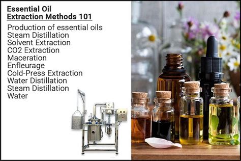 Different Methods of Essential Oils Extraction – VedaOils.com