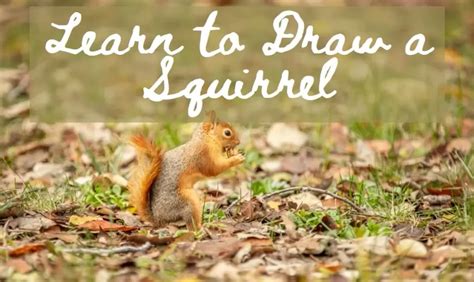 squirrel drawing for kids Archives - Edu Mentor Pro