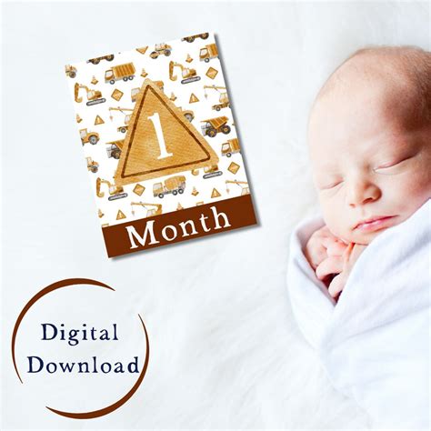 Baby Monthly Milestone, Digital Download, Printable Baby Milestone ...