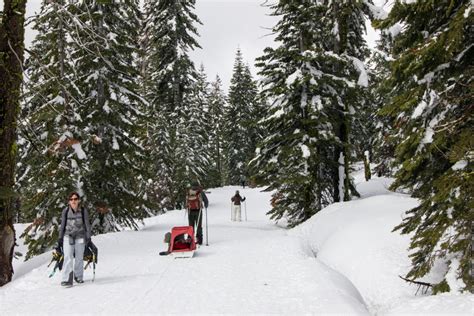 Winter Camping in Yosemite: What You Need to Know - Sights Better Seen