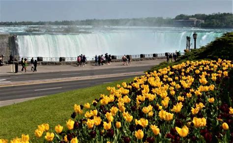 From Toronto: Niagara Falls Day Trip | GetYourGuide