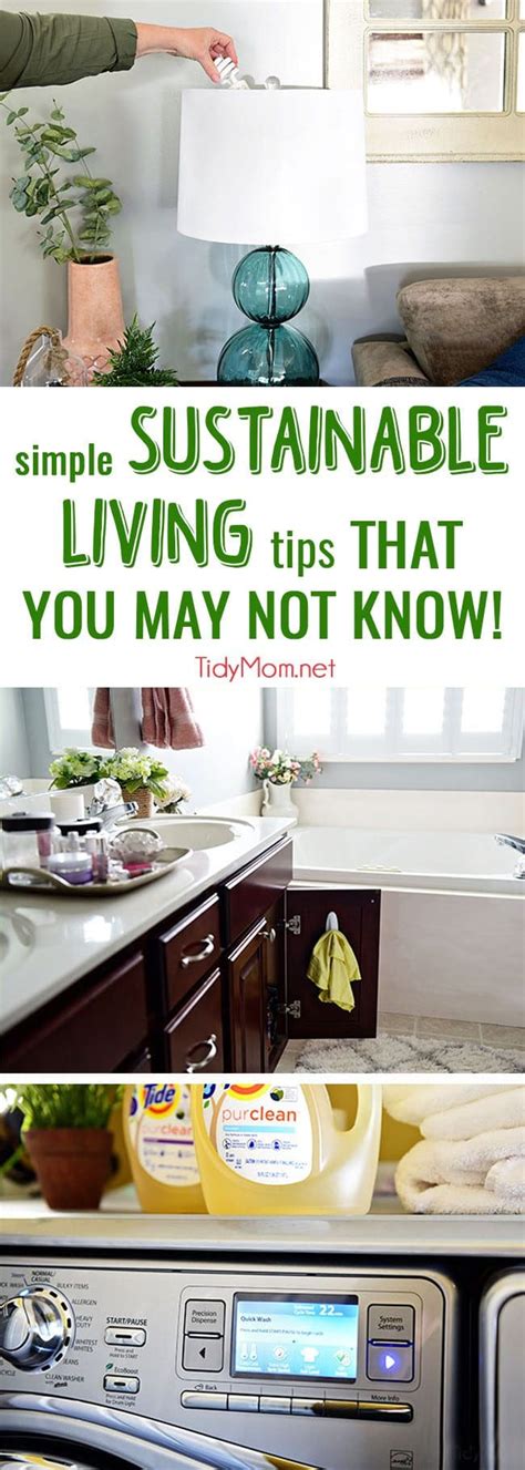 Simple Sustainable Living Tips That You May Not Know! | TidyMom®