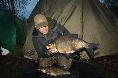 Bream, irish bream freshwater species identification, specimens