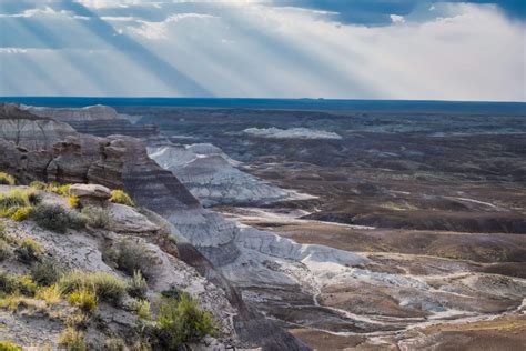 The Ultimate Guide to Visiting Petrified Forest - A Couple Days Travel