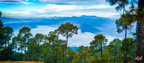 Discover Ranikhet | Ranikhet Tour Travel Guide | Indian Holiday