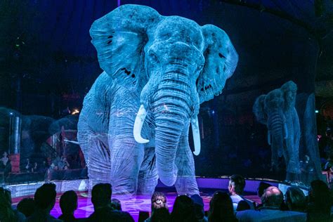 Circus Roncalli setzt in Hamburg auf Hologramme statt echte Tiere | GALA.de