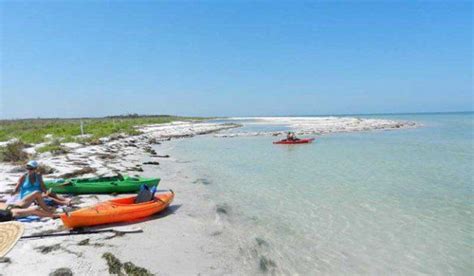 Kayak to Caladesi Island: Great beach, even better by kayak | Florida ...