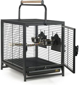 Best 6 Quaker Parrot Cages Every Bird Owner Should Use 2022