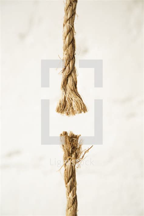 Frayed rope ends on a white background. — Photo — Lightstock