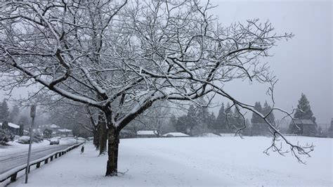 Strong winds, snowfall headed for B.C.'s South Coast | CTV News